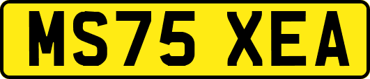 MS75XEA