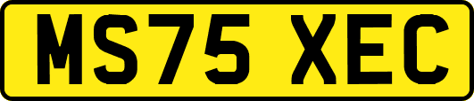 MS75XEC