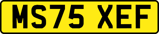 MS75XEF
