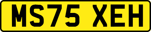 MS75XEH