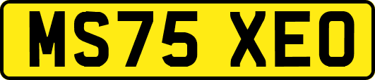 MS75XEO