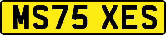 MS75XES