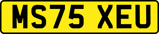 MS75XEU