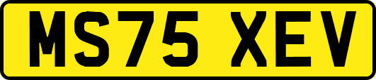 MS75XEV
