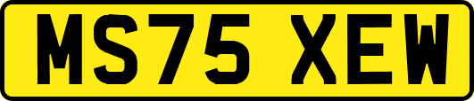MS75XEW