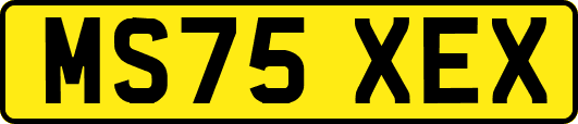MS75XEX