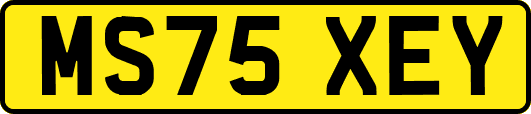 MS75XEY