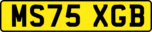 MS75XGB
