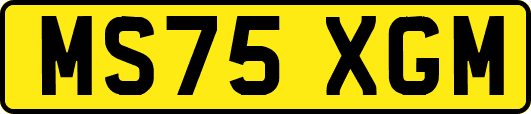 MS75XGM