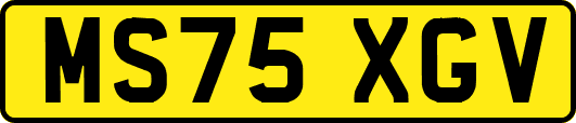 MS75XGV
