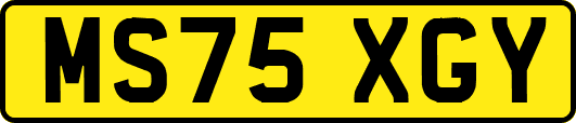 MS75XGY