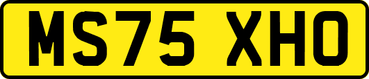 MS75XHO