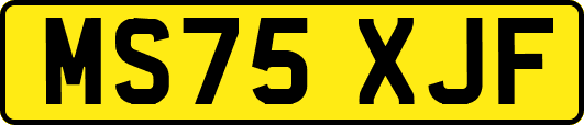 MS75XJF