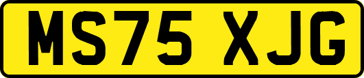 MS75XJG