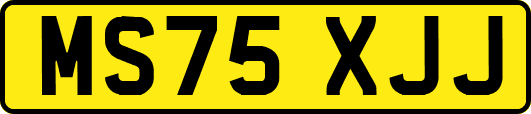 MS75XJJ