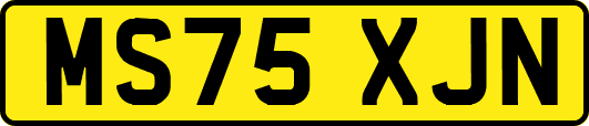 MS75XJN