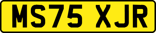 MS75XJR