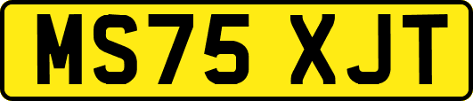 MS75XJT