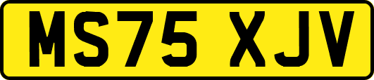 MS75XJV