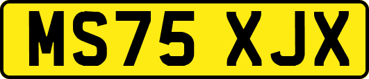 MS75XJX