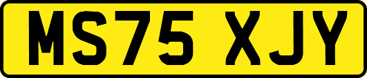 MS75XJY