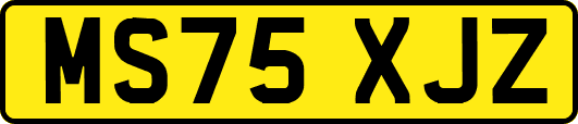 MS75XJZ