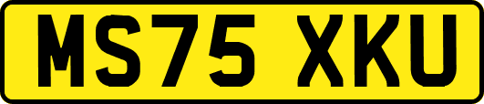 MS75XKU