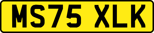 MS75XLK