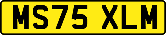 MS75XLM