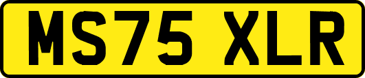 MS75XLR