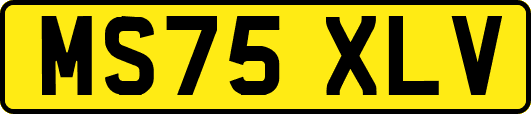 MS75XLV