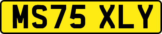 MS75XLY