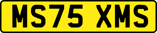 MS75XMS