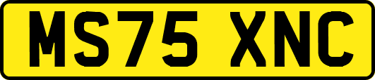 MS75XNC