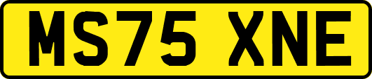 MS75XNE