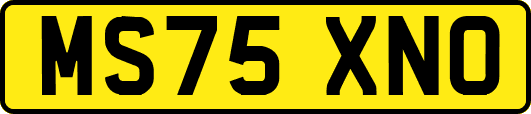 MS75XNO