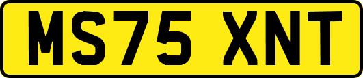 MS75XNT