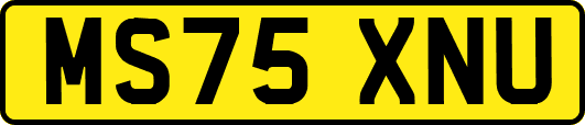 MS75XNU