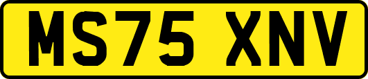 MS75XNV