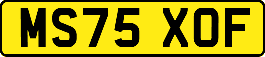 MS75XOF