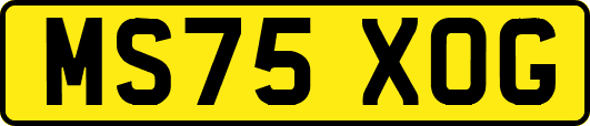 MS75XOG