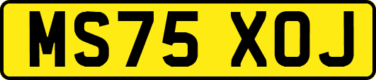 MS75XOJ