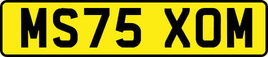 MS75XOM