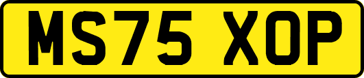 MS75XOP