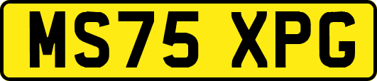 MS75XPG