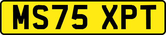 MS75XPT