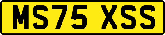 MS75XSS