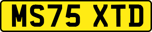 MS75XTD