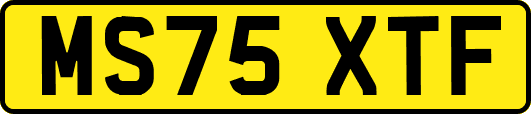 MS75XTF