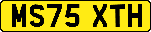 MS75XTH